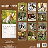Basset Hound Calendar